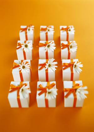 おいしくて安全な紀州梅はどこで買うべきか